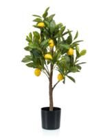 kunst lemon tree 72cm, Huis en Inrichting, Ophalen of Verzenden