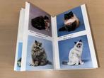 The Observer's Book of Cats. All Recognized Varieties., Boeken, Dieren en Huisdieren, Ophalen of Verzenden, Gelezen, Paarden of Pony's