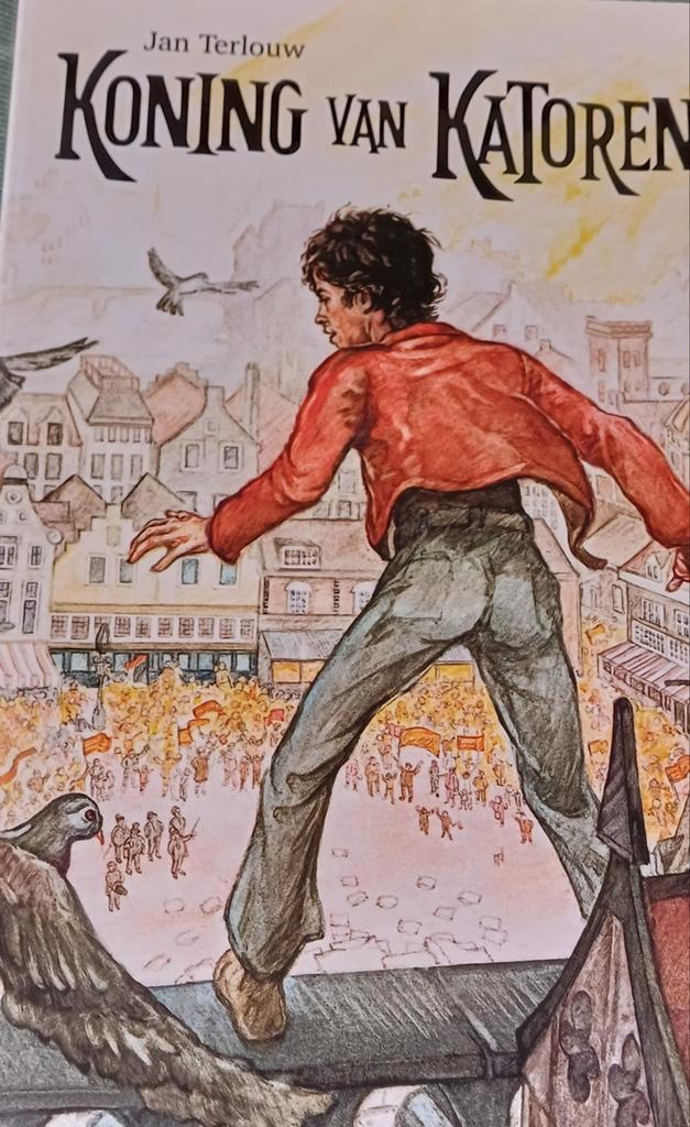 Koning van Katoren - Jan Terlouw, Boeken, Kinderboeken | Jeugd | onder 10 jaar, Gelezen, Fictie algemeen, Ophalen of Verzenden