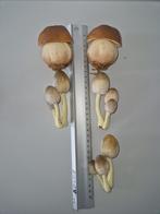 herfst decoratie nieuw bijzonder mooi zacht, Ophalen of Verzenden, Nieuw