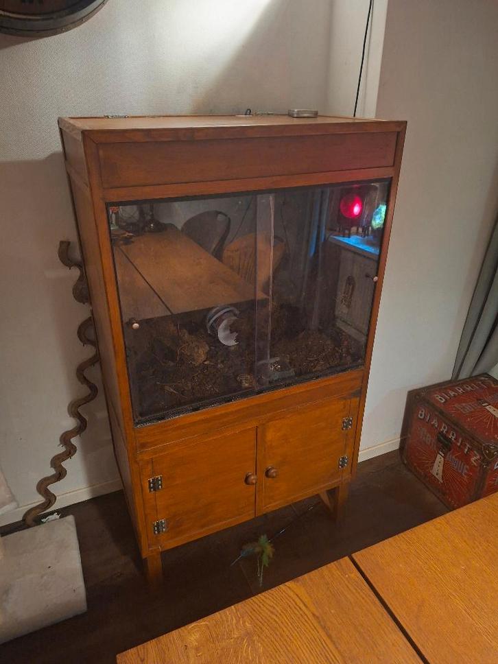 Terrarium, Dieren en Toebehoren, Reptielen en Amfibieën | Toebehoren, Gebruikt, Terrarium of Paludarium, Ophalen