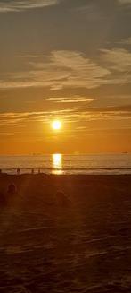 Ontspanningsmassage Schiedam nabij Rotterdam, Diensten en Vakmensen, Ontspanningsmassage