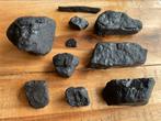 Fossiele steenkool uit de Noordzee, Verzamelen, Mineralen en Fossielen, Verzenden, Fossiel