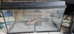 Complette juwel aquarium incl eheim pomp, Ophalen, Gebruikt, Leeg aquarium