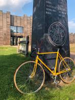 SINGLESPEED PISTA (Nieuw), Staal, 53 tot 57 cm, Ophalen, Overige merken