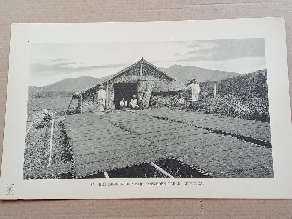 Foto gravure Nederlands Indië Indonesië 1910, Verzamelen, Ophalen of Verzenden, Voor 1940, Zo goed als nieuw, Buitenland