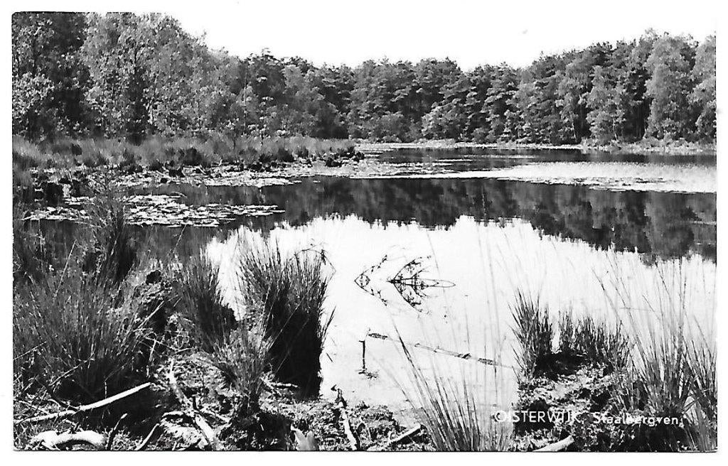 Oisterwijk Staalbergven Oude ongelopen Ansichtkaart ( B1521, Ophalen of Verzenden, 1960 tot 1980, Gelopen, Noord-Brabant