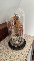 Schelpen sculptuur in glazen stolp, Huis en Inrichting, Ophalen