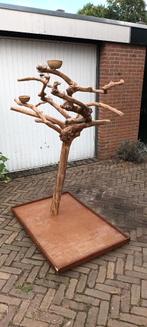 javaboom koffieboom papegaaienboom als nieuw, Dieren en Toebehoren, Meerdere dieren, Papegaai