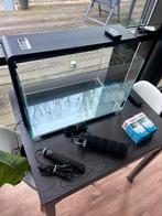 Aquarium 60 liter compleet, Ophalen, Leeg aquarium