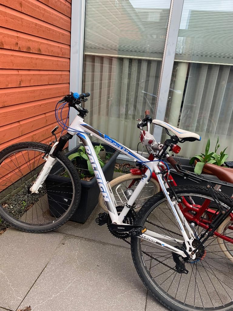 Mountain Bike Raleigh 2.0  29 Lady 700M, Fietsen en Brommers, Versnellingen, Zo goed als nieuw, 50 tot 53 cm, Schijfrem
