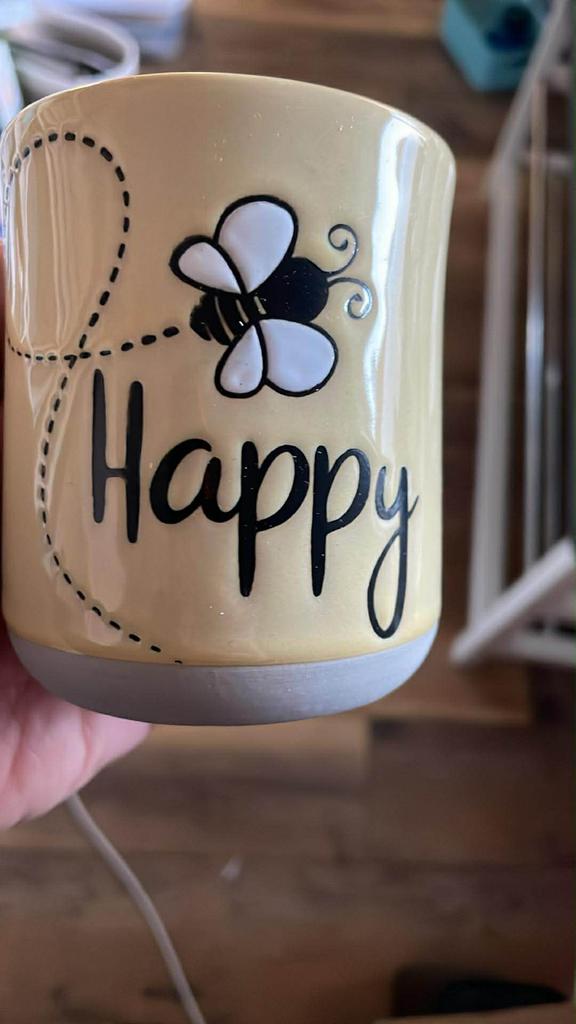 Diverse stekkerlampjes - Leuk cadeau, goedkoop!, Ophalen of Verzenden, Nieuw