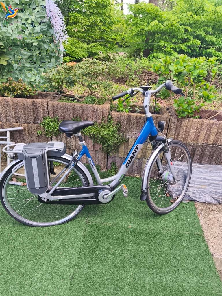 Giant Twist E-bike - Comfortabel en Betrouwbaar, Fietsen en Brommers, Gebruikt, 51 tot 55 cm, 30 tot 50 km per accu, Giant