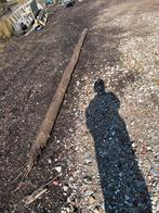 Gratis boomstam - Ideaal voor decoratie of knutselprojecten, Ophalen, Gebruikt