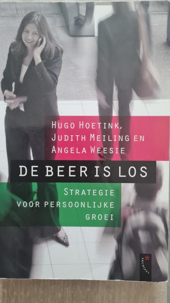 De Beer Is Los - Strategie voor persoonlijke groei, Boeken, Ophalen of Verzenden