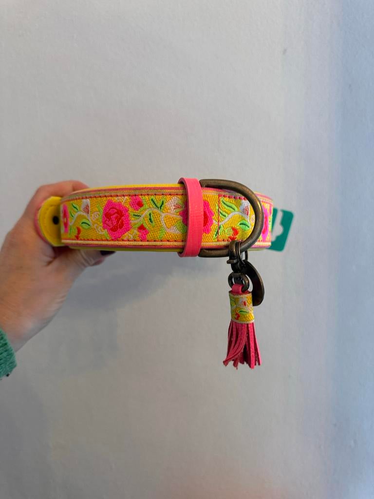 Dogs with a mission DWAM ~ xl halsband, Ophalen of Verzenden, Nieuw