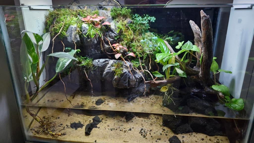 Paludarium met mistmaker en waterval, Ophalen, Tak, Plant, Rots of Steen