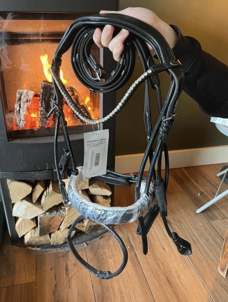 Premiera Latina hoofdstel, Ophalen of Verzenden, Nieuw, Dressuur