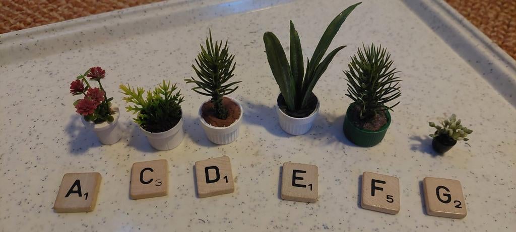 Plantje per stuk voor poppenhuis, Ophalen of Verzenden, Nieuw, Poppenhuis