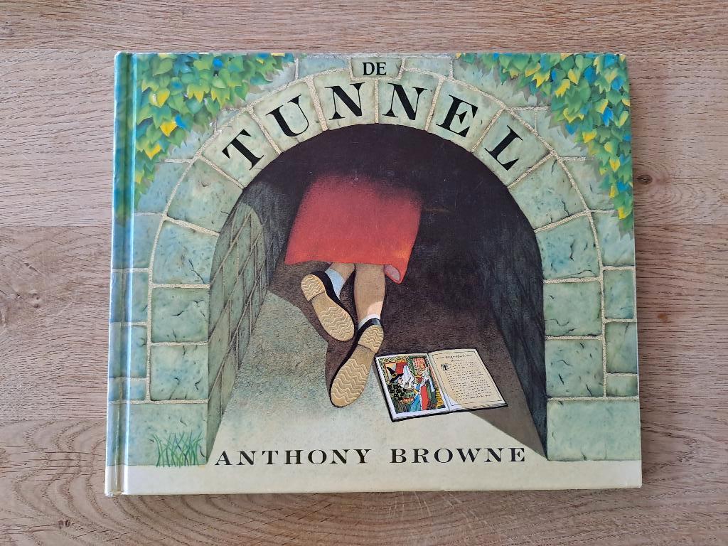 DE TUNNEL. ANTHONY BROWN., Boeken, Gelezen, Fictie algemeen, Anthony Brown, Ophalen of Verzenden
