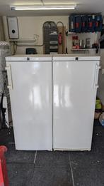 Liebherr vrijstaande koelkast A+, Ophalen, 200 liter of meer, 60 cm of meer, Energieklasse A of zuiniger