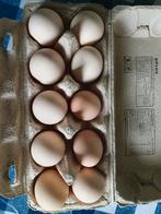 Eieren te koop, Diversen, Levensmiddelen, Ophalen