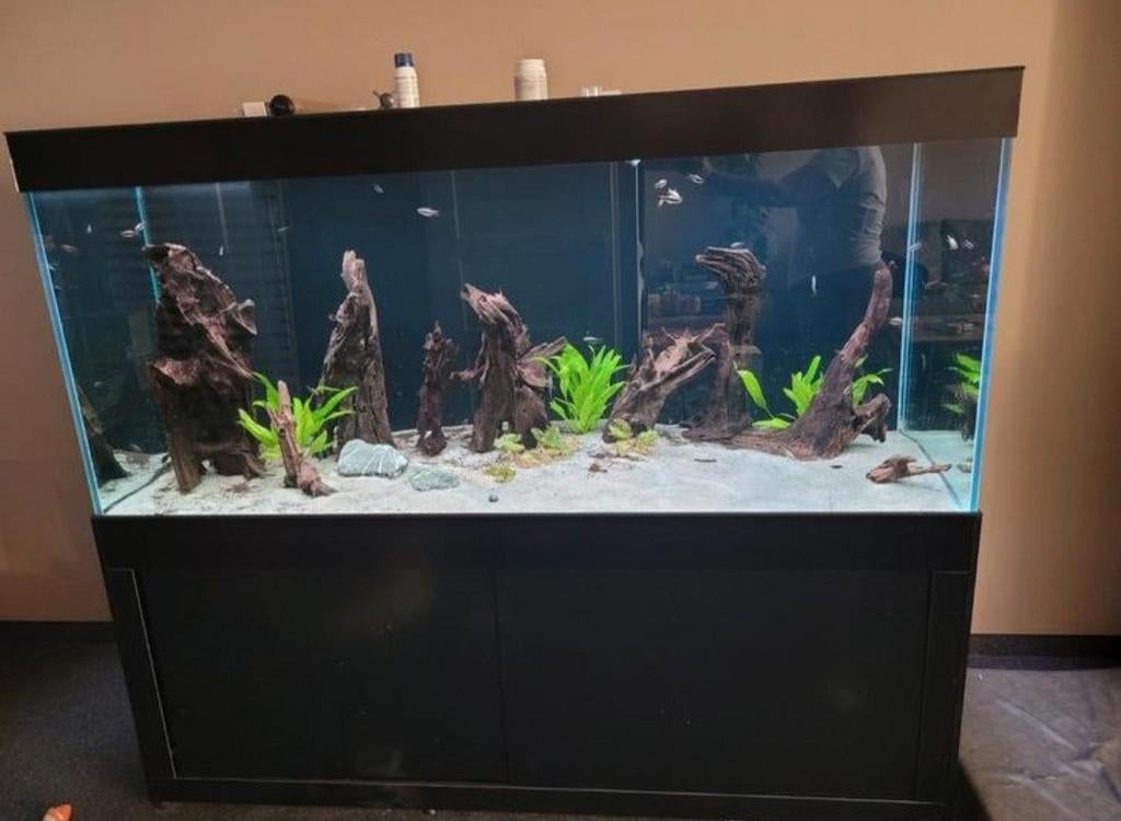 Aquarium te koop incl toebehoren, Ophalen, Gevuld zoetwateraquarium