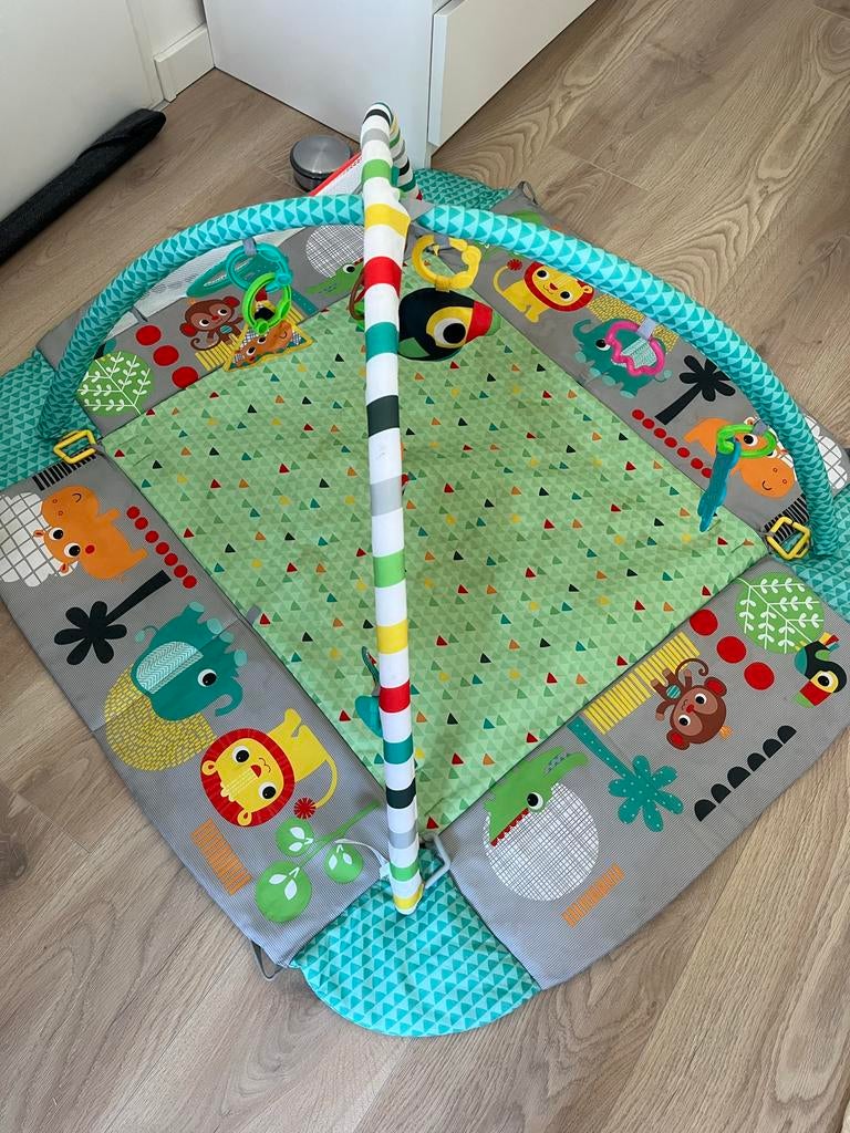 Bright Starts Speelmat/Babygym - Gebruikt, Kinderen en Baby's, Speelgoed | Babyspeelgoed, Ophalen, Gebruikt, Babygym