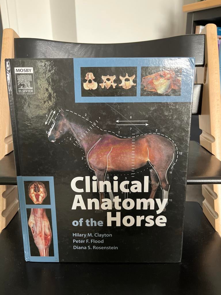 Clinical Anatomy of the Horse - Paarden Anatomie Boek, Ophalen of Verzenden, Zo goed als nieuw, Paarden of Pony's