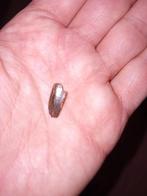 Abilisaurid tand, Ophalen of Verzenden