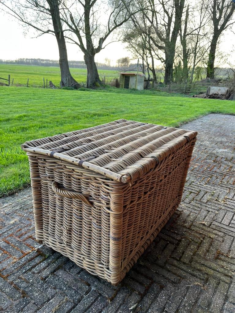 Antieke rieten dekenkist – groot model – jaren 40/50, Huis en Inrichting, Woonaccessoires | Kisten, Ophalen, Overige materialen