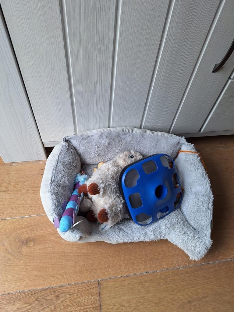 Kattenmand met speeltjes, gratis ophalen, Ophalen, Pluche