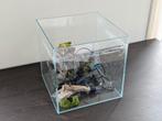 Aquarium fish tank 30x30x30cm, Dieren en Toebehoren, Vissen | Aquaria en Toebehoren, Ophalen, Leeg aquarium
