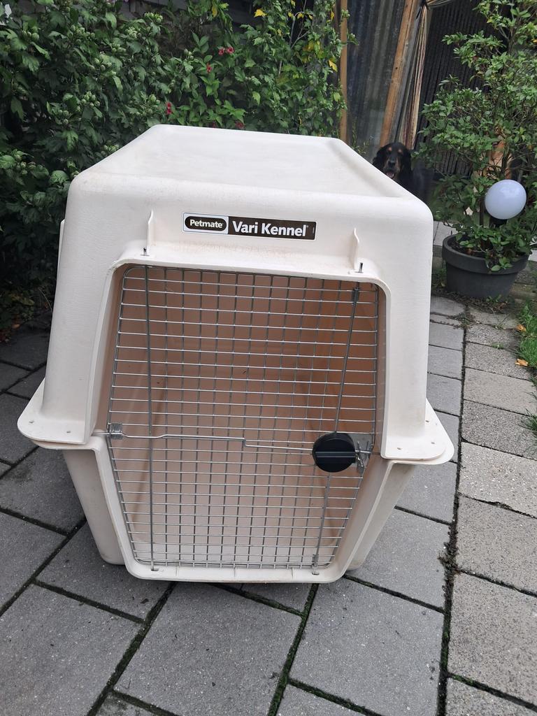 Vari kennel XXL Giant, Dieren en Toebehoren, Ophalen, Zo goed als nieuw, 110 cm of meer, 100 cm of meer