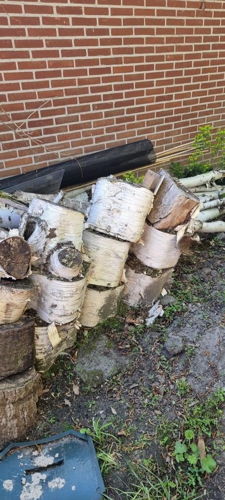 Brandhout berkenboom 1 à 2 m³, Tuin en Terras, Haardhout, Minder dan 3 m³, Ophalen of Verzenden, Berkenhout, Blokken