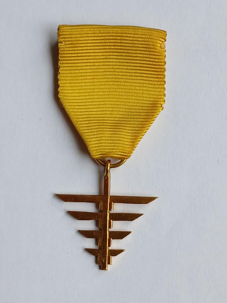 Gouden Jacobsstaf K.V. en N.P.V. vóór 1970 Scouting, Verzamelen, Ophalen of Verzenden, Gebruikt, Embleem, Speld of Insigne