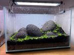 Te koop: UNS 3N aquascape – 3 weken oud (drystart), Dieren en Toebehoren, Vissen | Aquaria en Toebehoren, Ophalen of Verzenden
