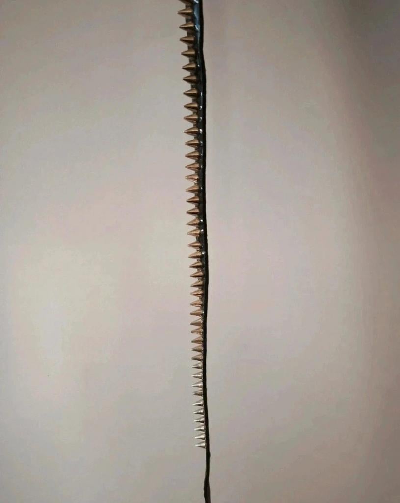 Lak riem met spikes - 110 CM - Gothic - Goth - Black Metal, 100 cm of meer, Zwart, Heupriem, Ophalen of Verzenden