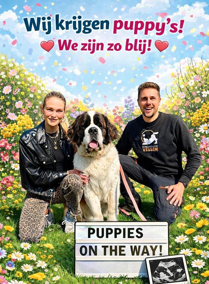 Doodle pups "Exclusieve/Zeldzame Doodles, Tickets en Kaartjes, Concerten | Nederlandstalig, Eén persoon