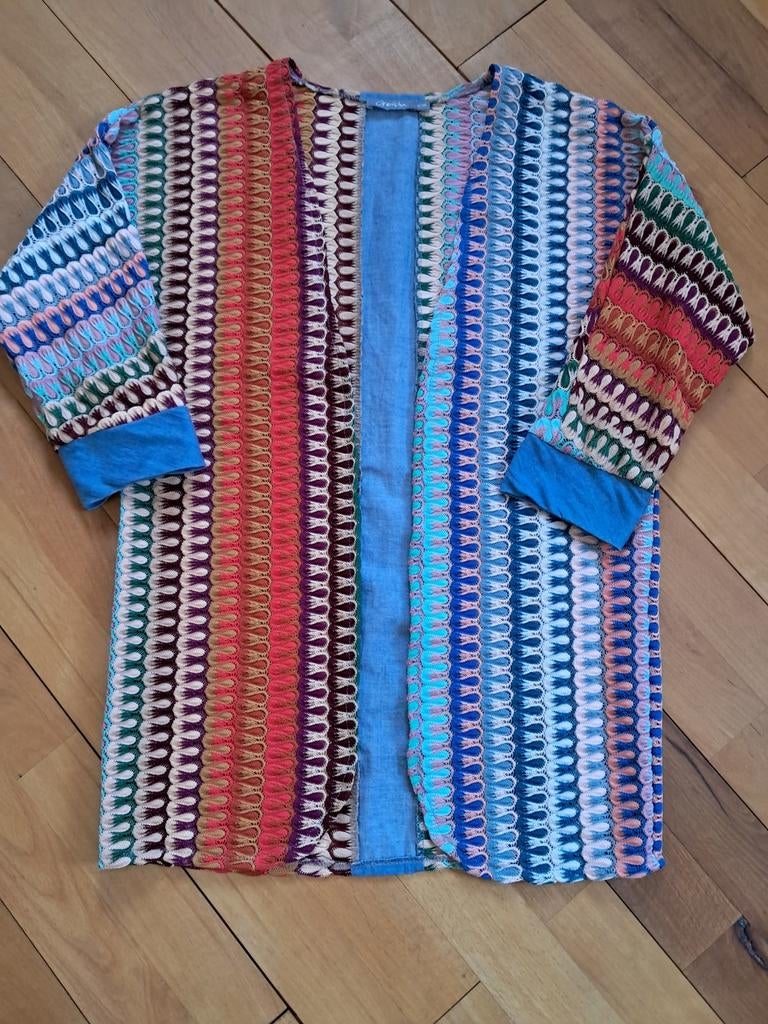 Geisha gehaakte top met 3/4 mouw, maat S, diverse kleuren, Kleding | Dames, Tops, Overige kleuren, Geisha, Ophalen of Verzenden