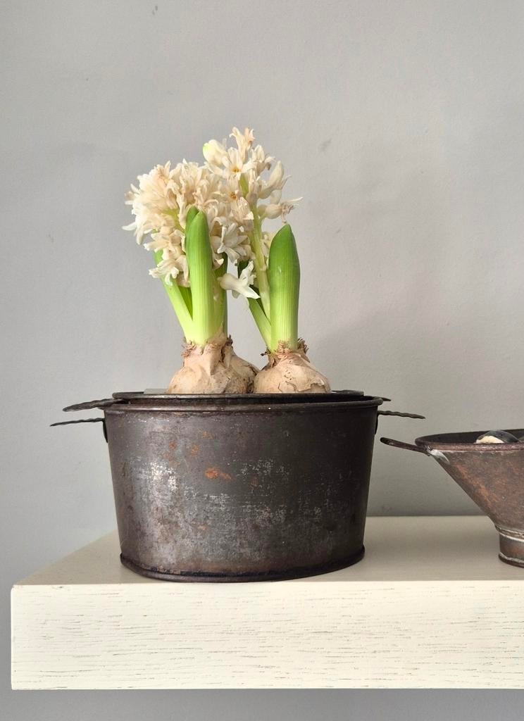 Brocante ijsmallen, Ophalen of Verzenden