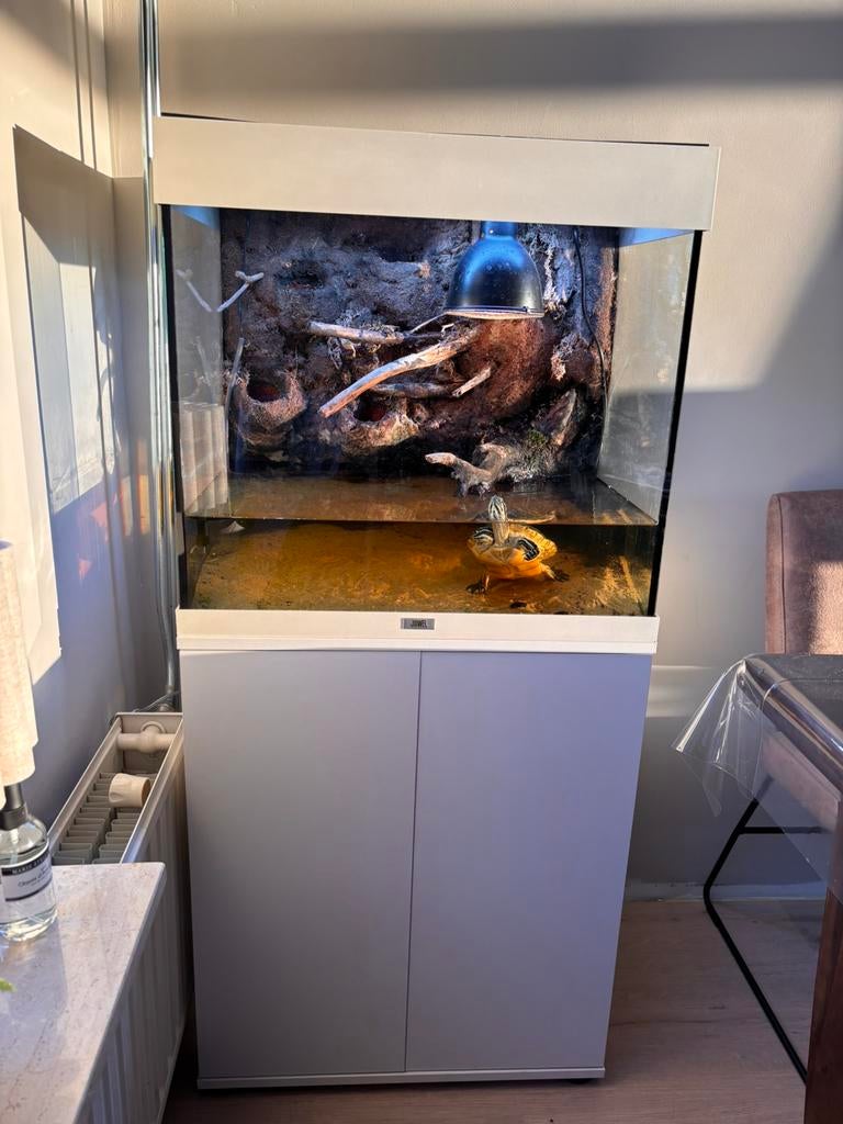 Leeg paludarium!, Dieren en Toebehoren, Vissen | Aquaria en Toebehoren, Ophalen, Zo goed als nieuw, Leeg aquarium, Verwarming