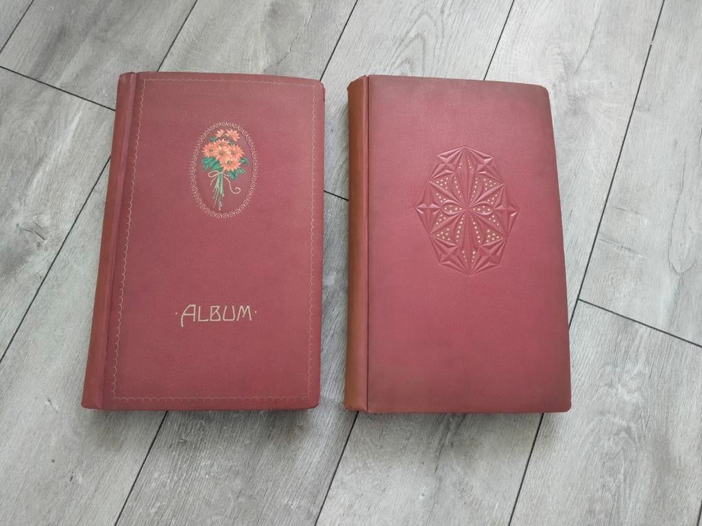 Brocante Ansichtkaarten Albums met Ansichten, Verzamelen, Ansichtkaarten | Themakaarten, Verzenden, Voor 1920, Overige thema's