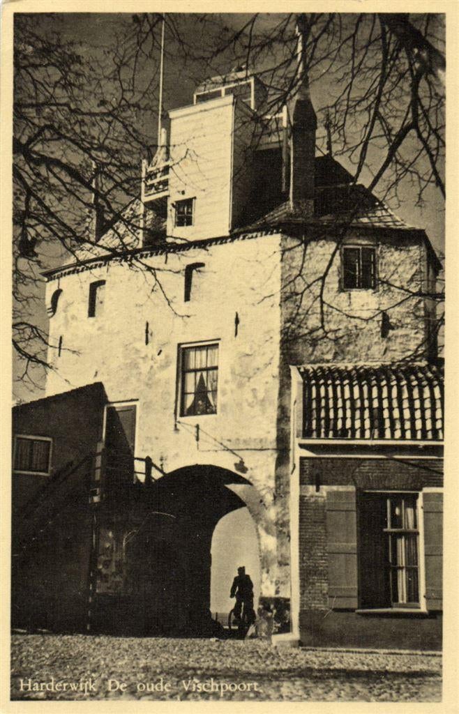 Harderwijk - De oude Vischpoort - 1951 gelopen, Ophalen of Verzenden, Voor 1920, Gelopen, Gelderland