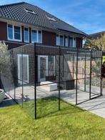 Grote kattenren 4x5m, Meerdere dieren