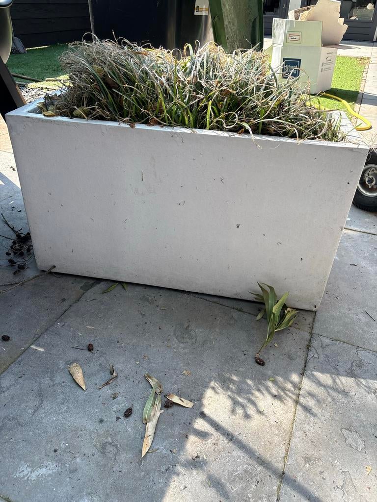 2 plantenbakken gratis af te halen inclusief inhoud, Tuin en Terras, Bloembakken en Plantenbakken, Ophalen, Gebruikt, 100 cm of meer