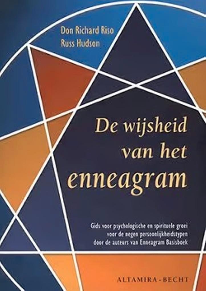 Don Richard Riso De wijsheid van het enneagram, Verzenden, Zo goed als nieuw