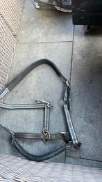 Eskadron halster maat full, Dieren en Toebehoren, Ophalen of Verzenden, Zo goed als nieuw, Overige soorten