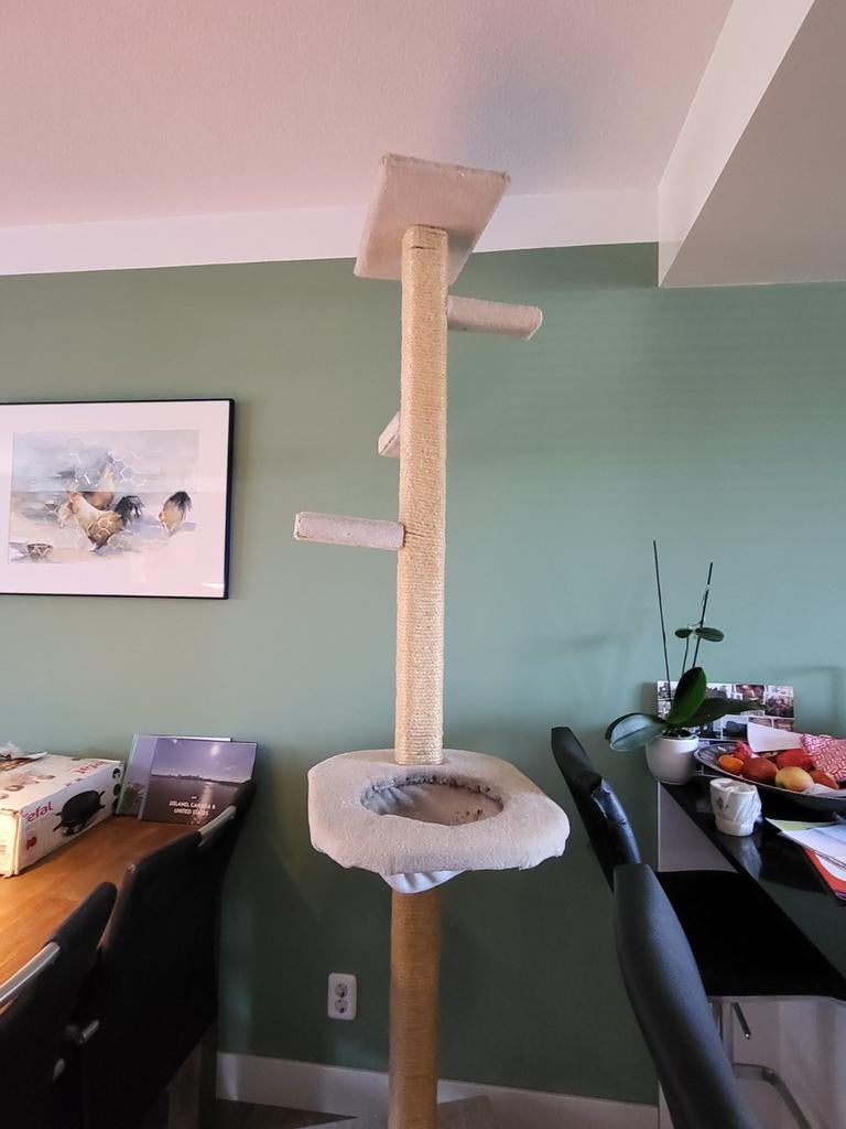 Krabpaal xxl 2.3 meter hoog., Ophalen, Krabpaal