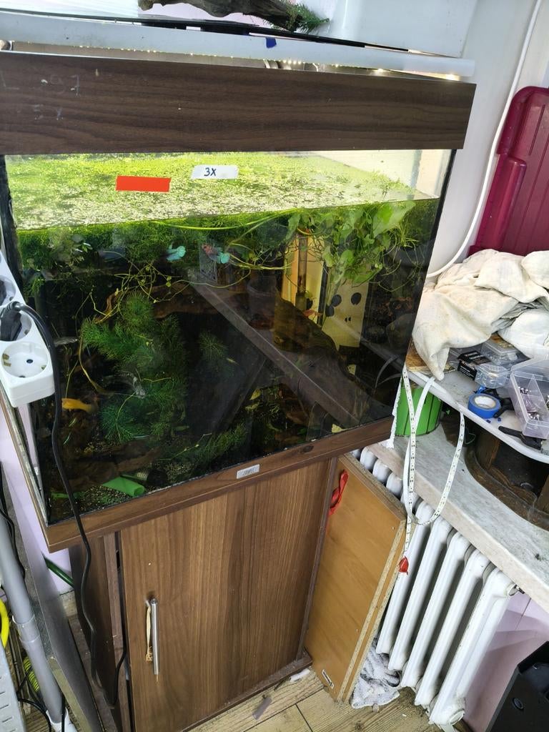 Juwel Lido 120 aquarium, Dieren en Toebehoren, Vissen | Aquaria en Toebehoren, Ophalen, Gebruikt, Leeg aquarium